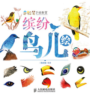 色铅笔手绘教室——缤纷鸟儿绘