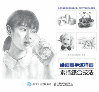 绘画高手这样画——素描综合技法