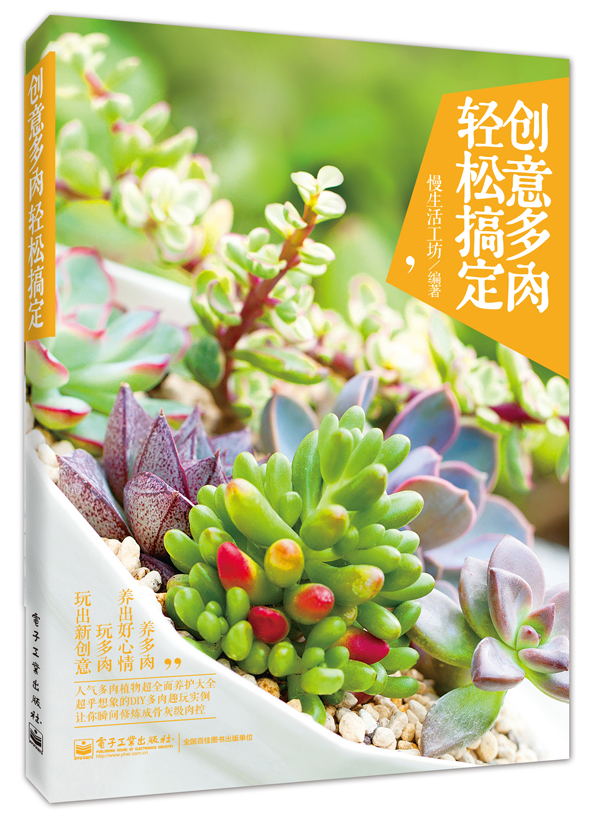 创意多肉 轻松搞定