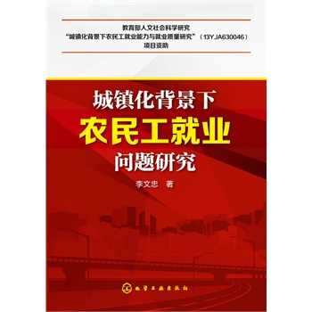城镇化背景下农民工就业问题研究