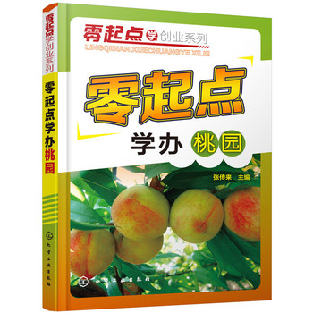 零起点学办桃园