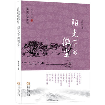 阳光下的微尘