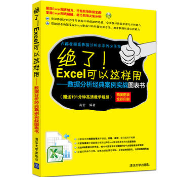 绝了！Excel可以这样用——数据分析经典案例实战图表书