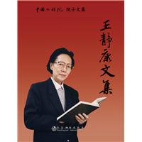 王静康文集