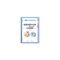 信息处理与分析——Excel应用精粹