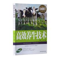 高效养牛技术