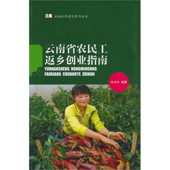 云南省农民工返乡创业指南