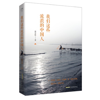 我们这些流浪的中国人